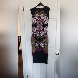 Gorgeous Ted Baker dress with entire zippered back.